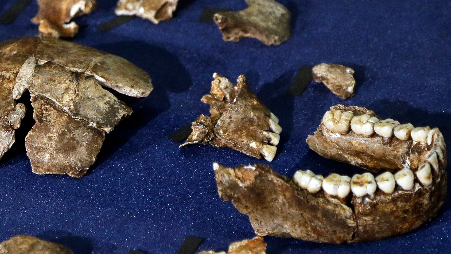 A new branch on the tree