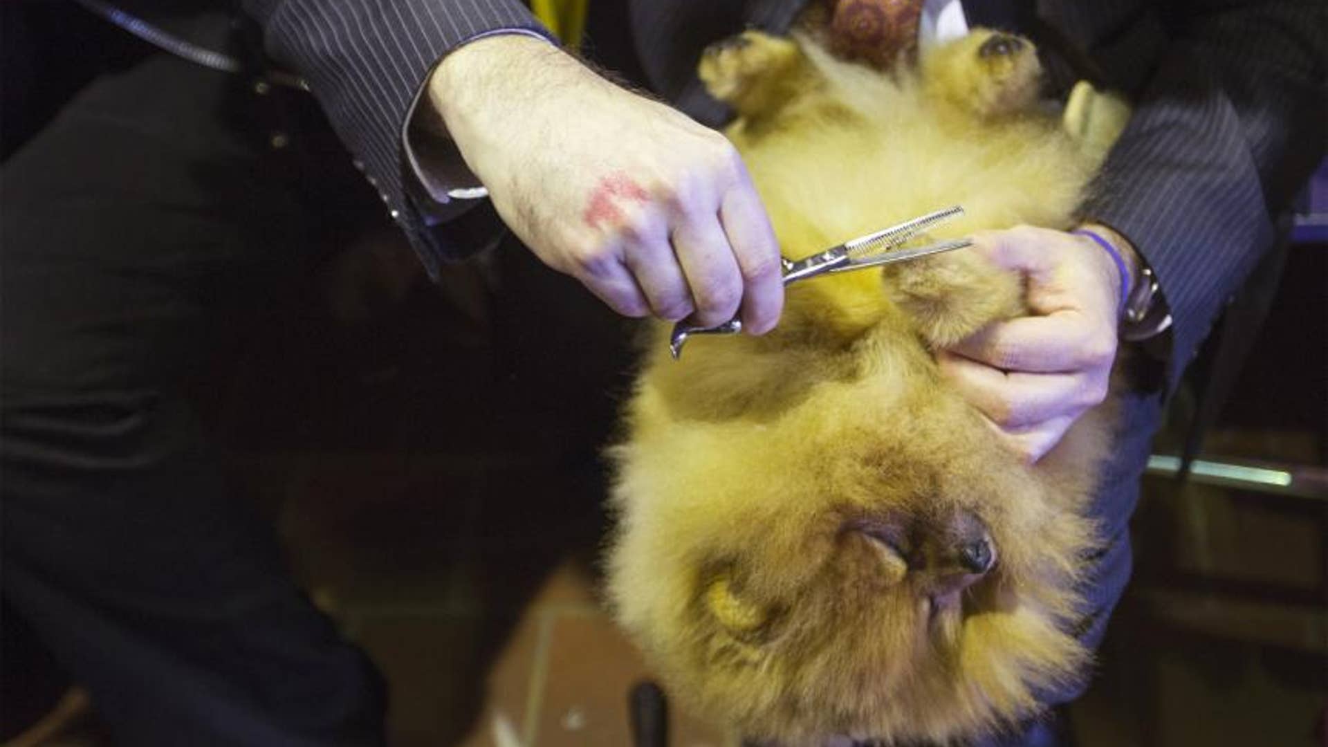 And Even More Grooming