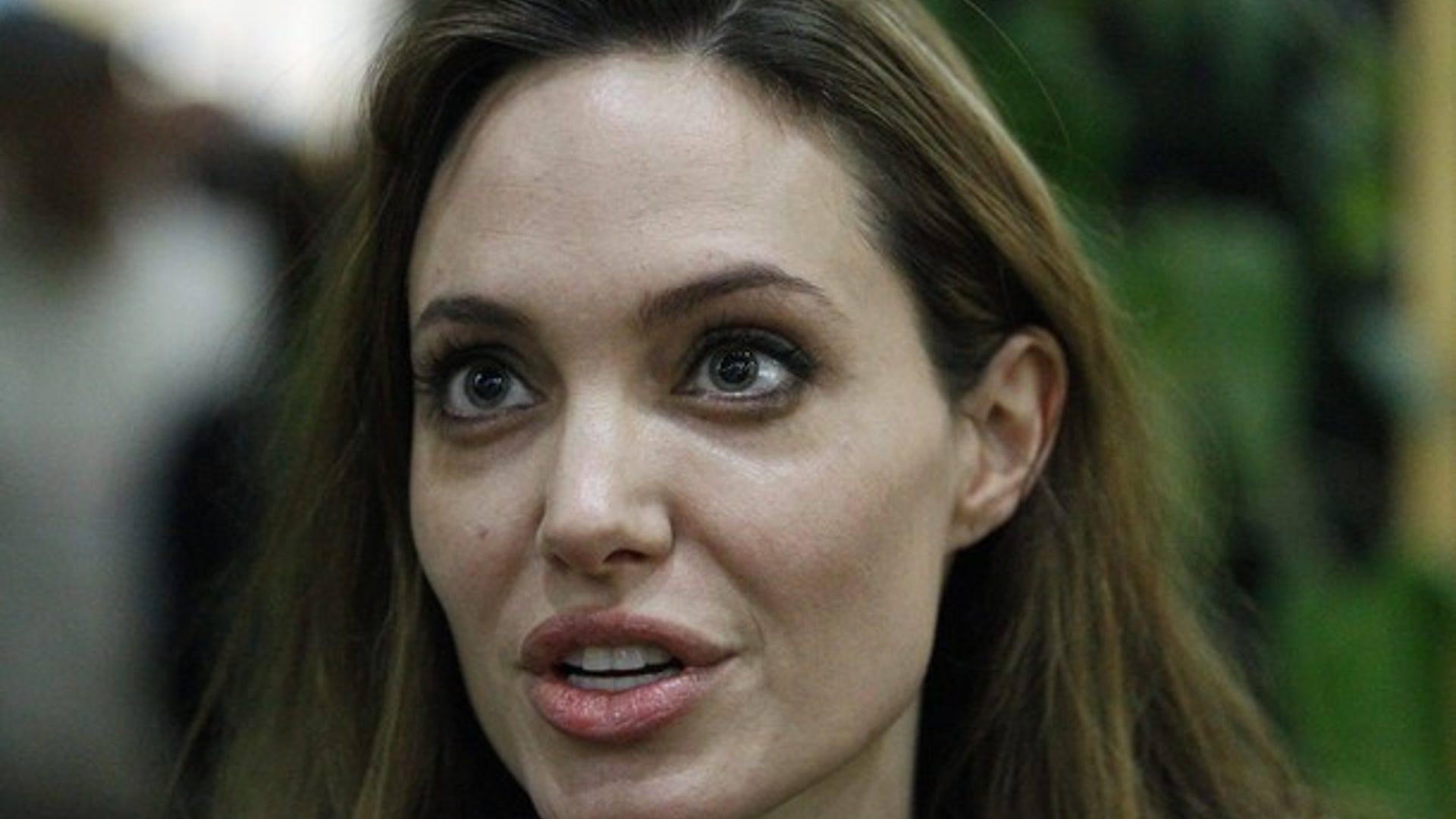 angelina jolie reu 