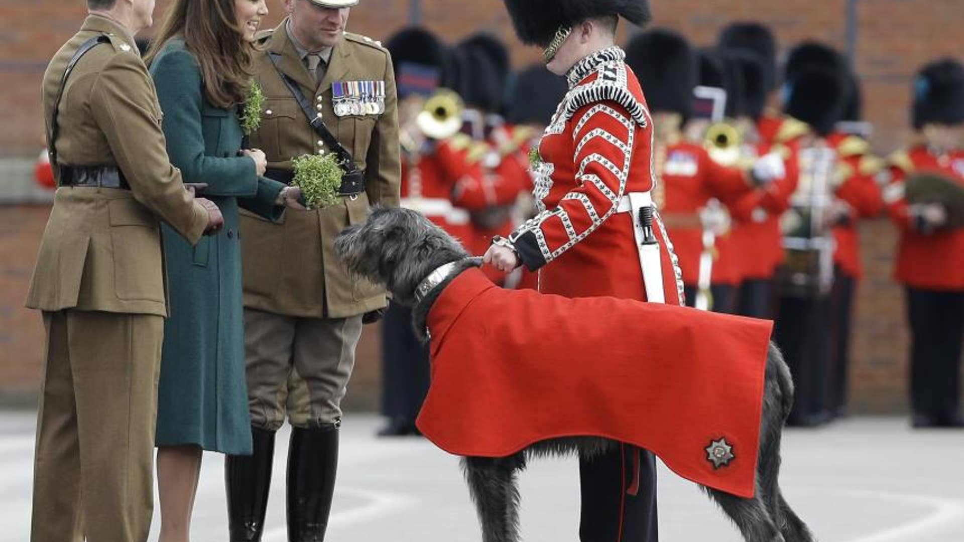 Conversing with Barely Visible Guard