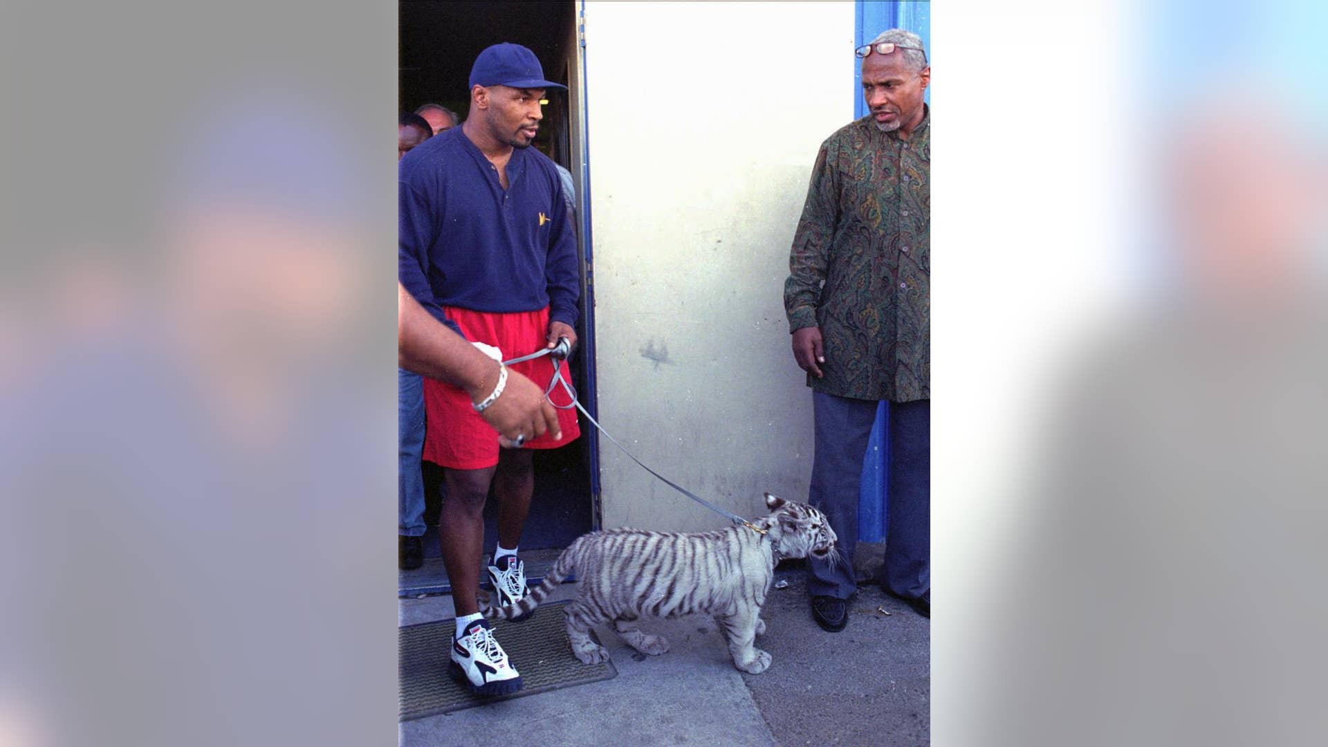 Mike Tyson's Tigers
