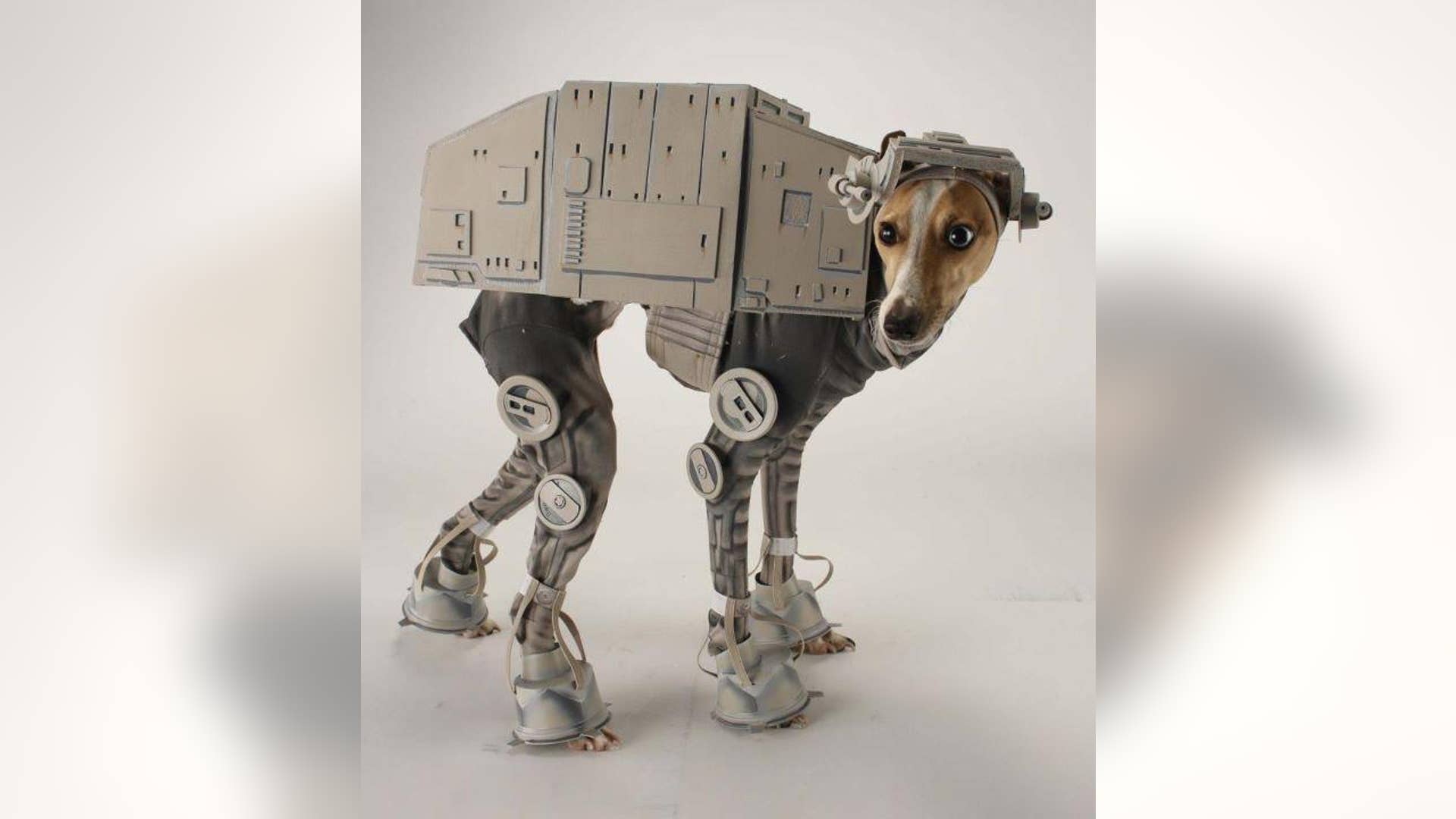Bones Mello, the AT-AT Dog