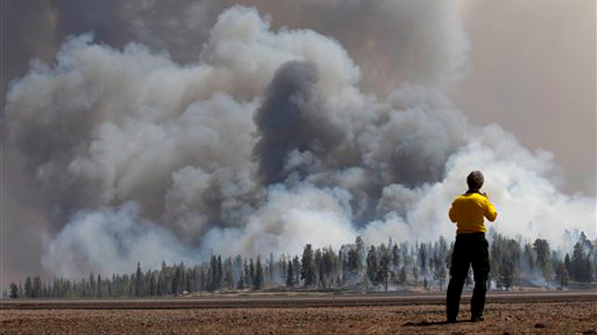 Пожар при сильном ветре. Бернаут фаер. Новости в Каталонии пожар. Indonesia Wildfire Aftermath. Smoke over a Fire.