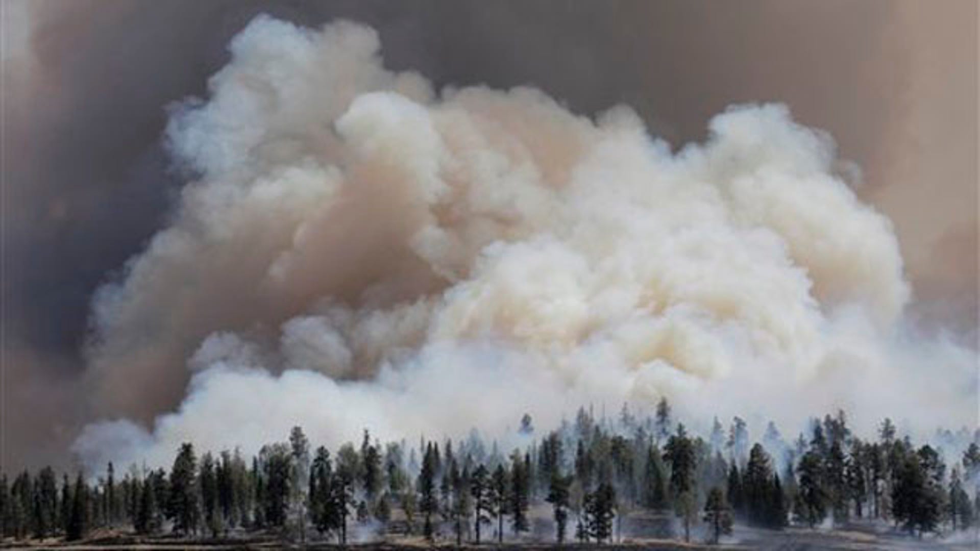 Какой газ стелется по земле. Дым от лесных пожаров. Лесной пожар дым. Задымление воздуха. Загрязнение воздуха лесными пожарами.