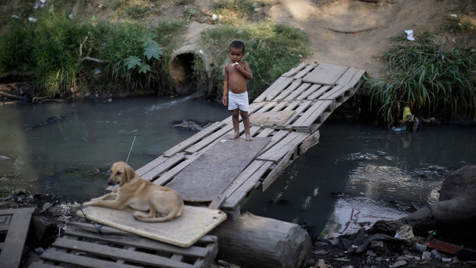 Brazil_Voting_Demographics__16_