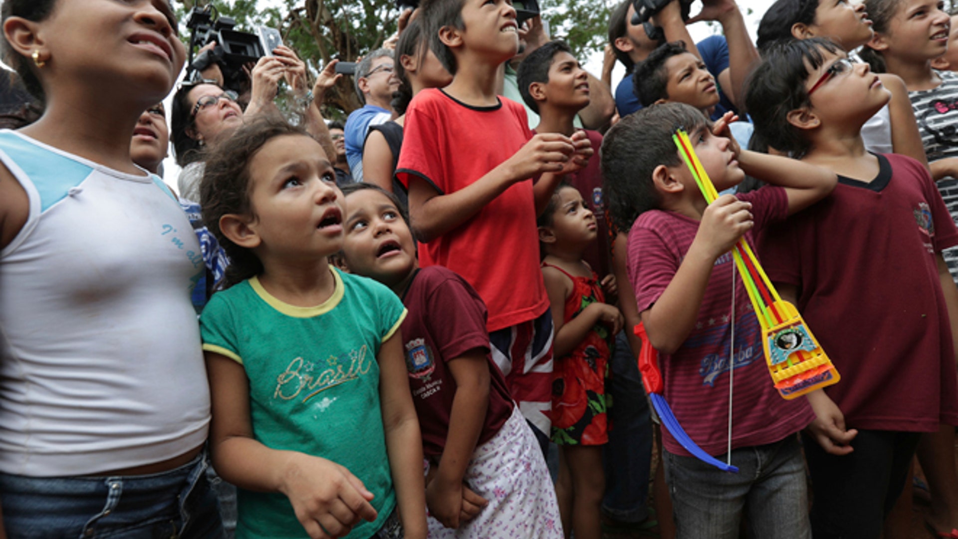 Brazil_elephant_sanctuary_8