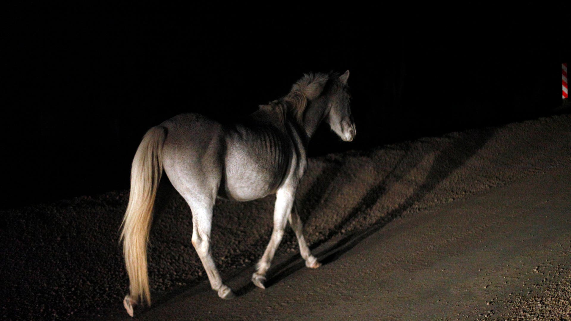 Chile_Volcano_Erupts_Vros__5_