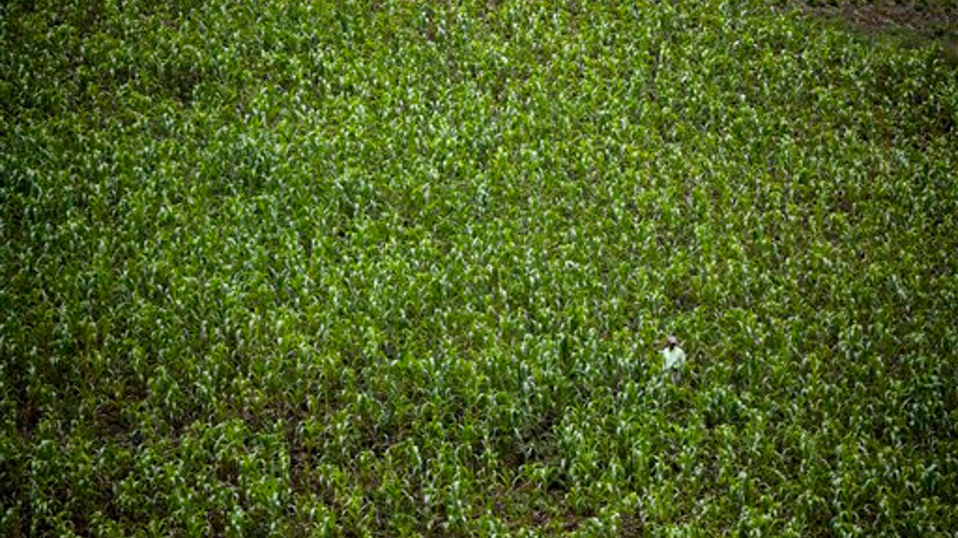 9d8c2f35c5d3b419580f6a706700f1ec