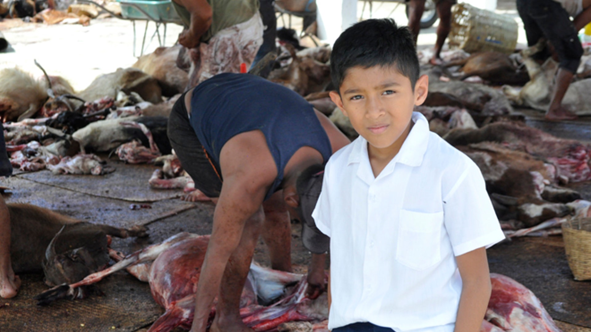 Goat_child_butcher_Latino