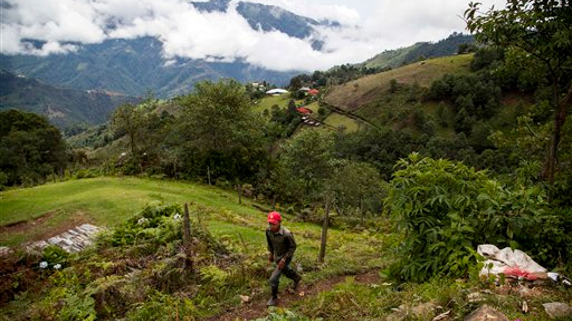 b8beb850c5d4b419580f6a7067004a7b