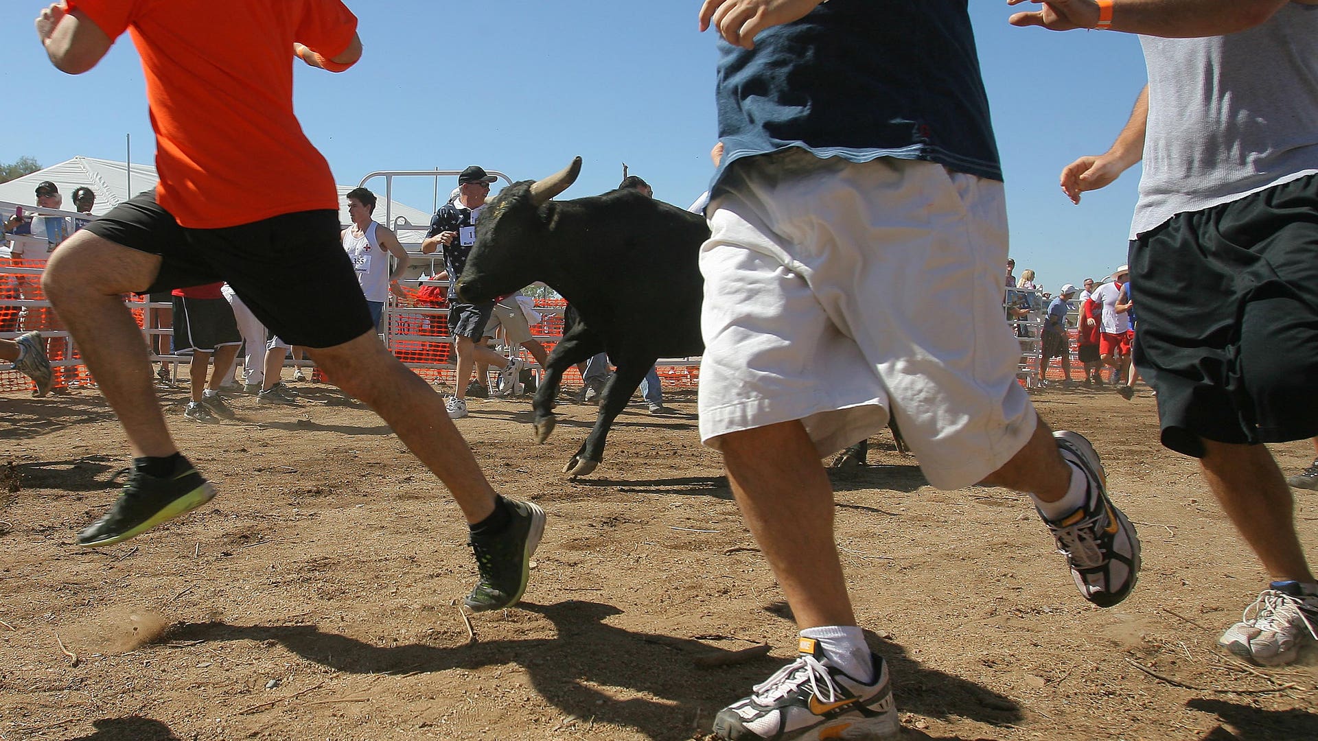 Running_of_the_Bulls_11