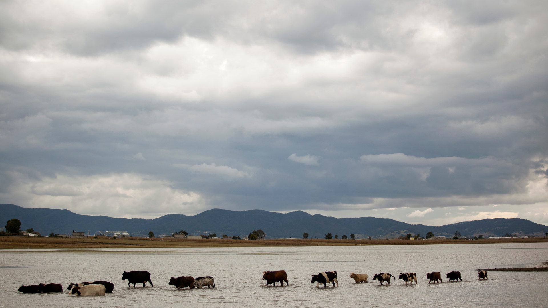 Flooded_Mexico_Patricia__5_
