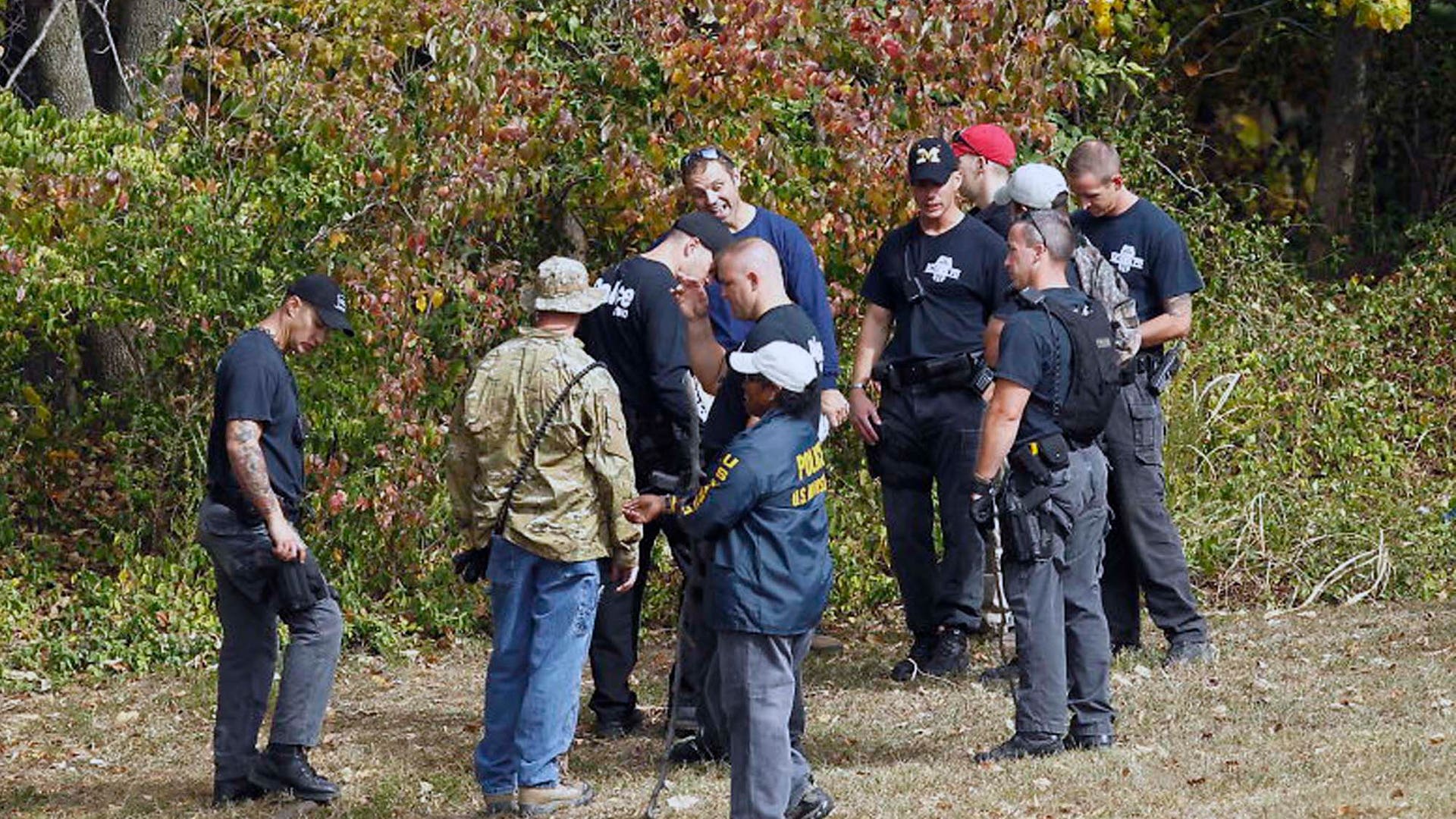 baby_lisa_irwin_search