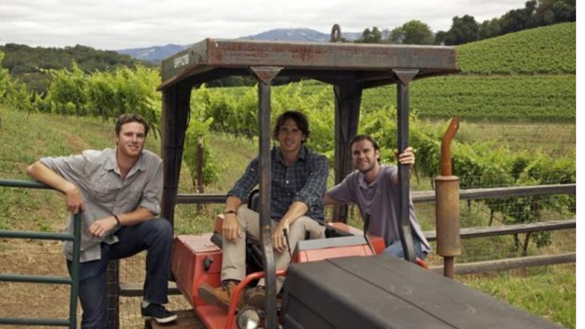 bachelor_envolvewinery