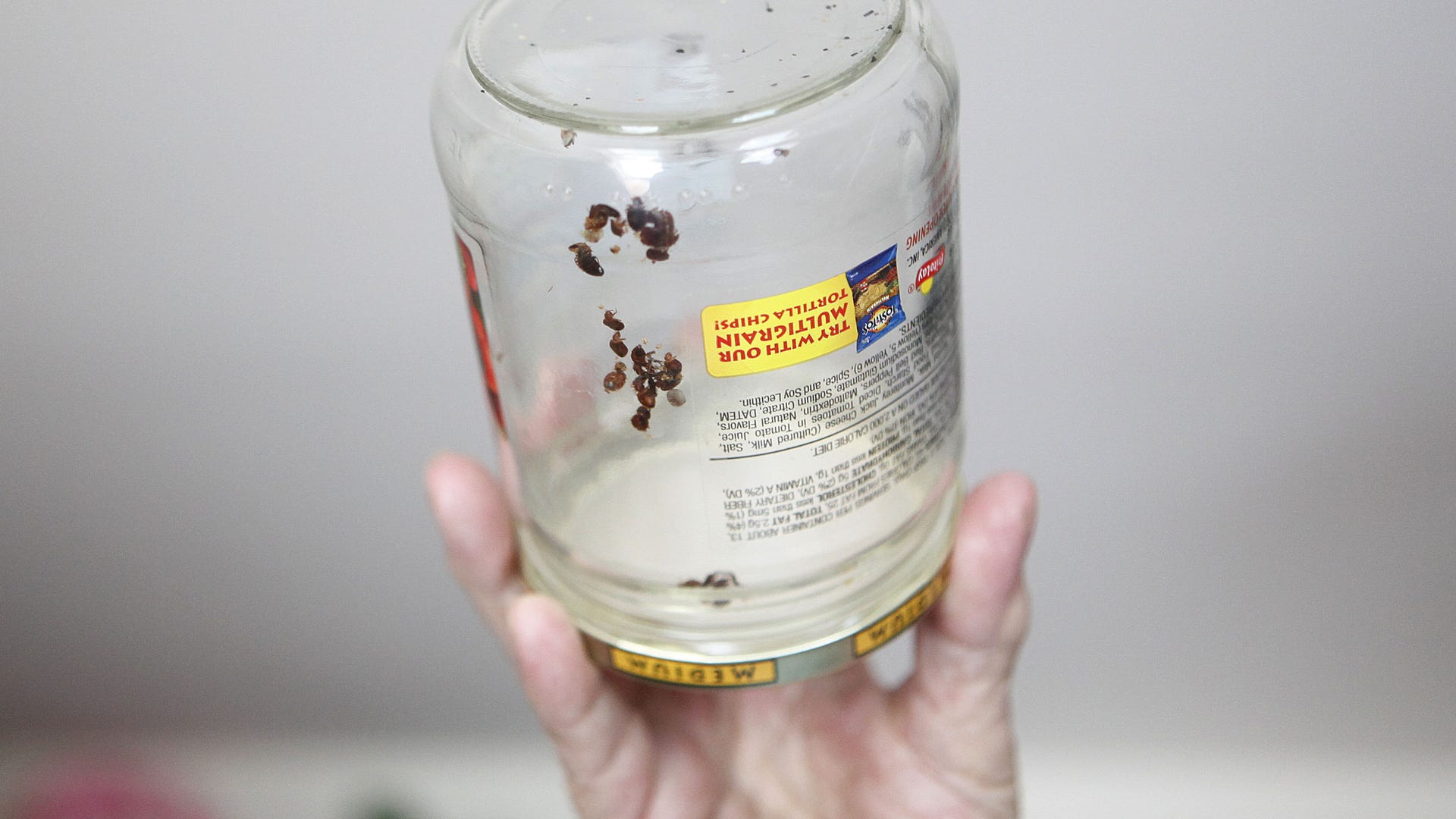 Jar of Bugs