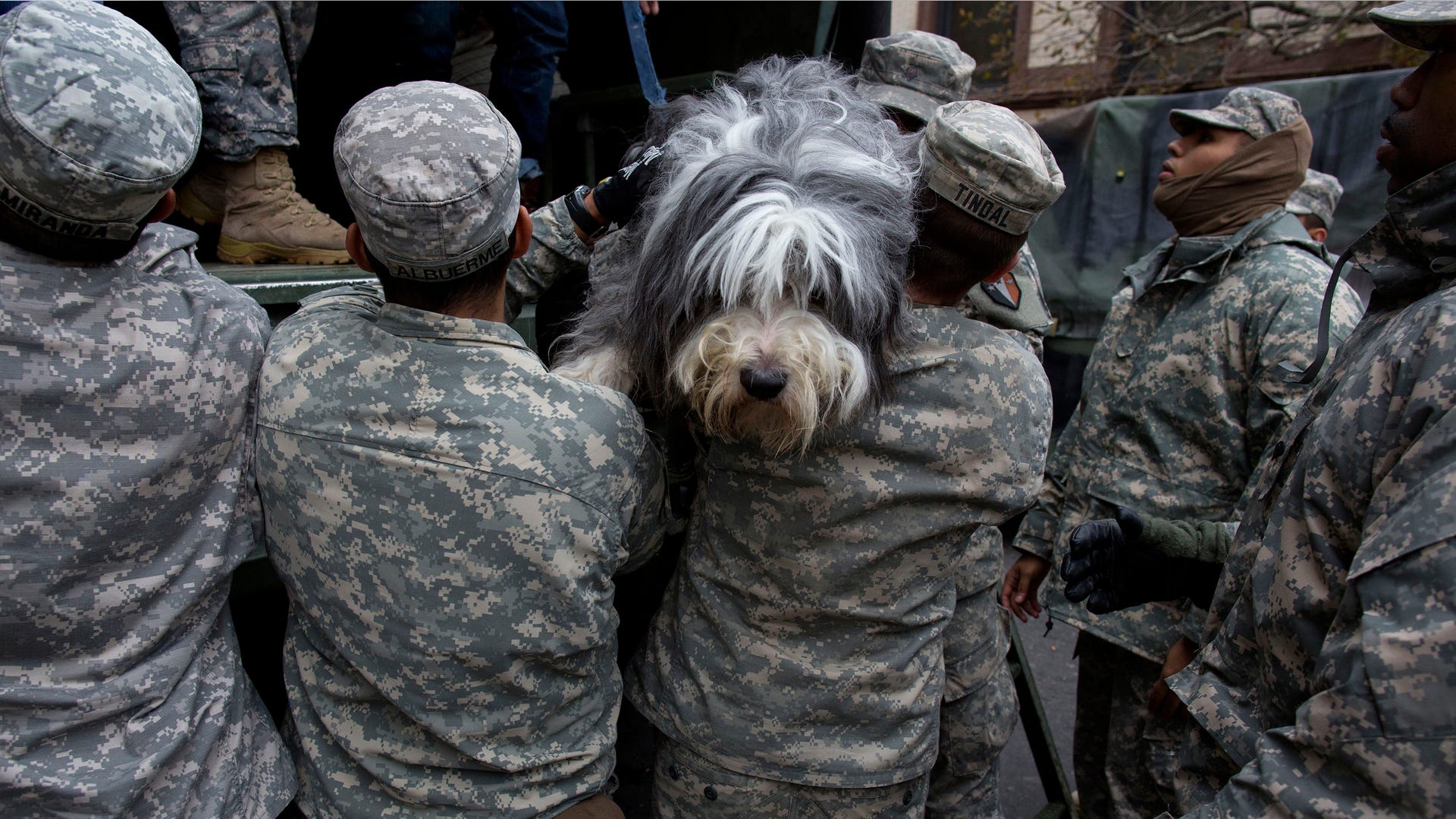 Superstorm_Pets_Garc_4