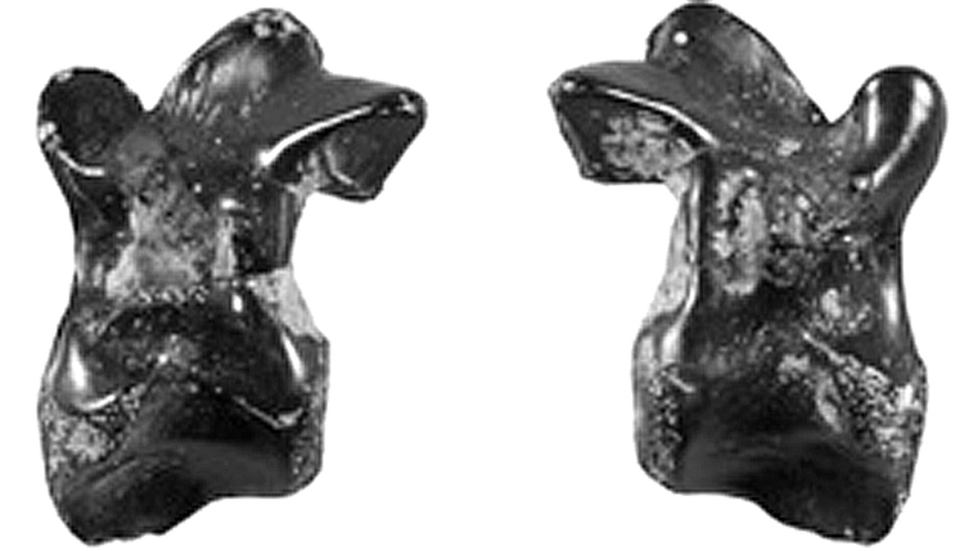 Dinosaur vertebra