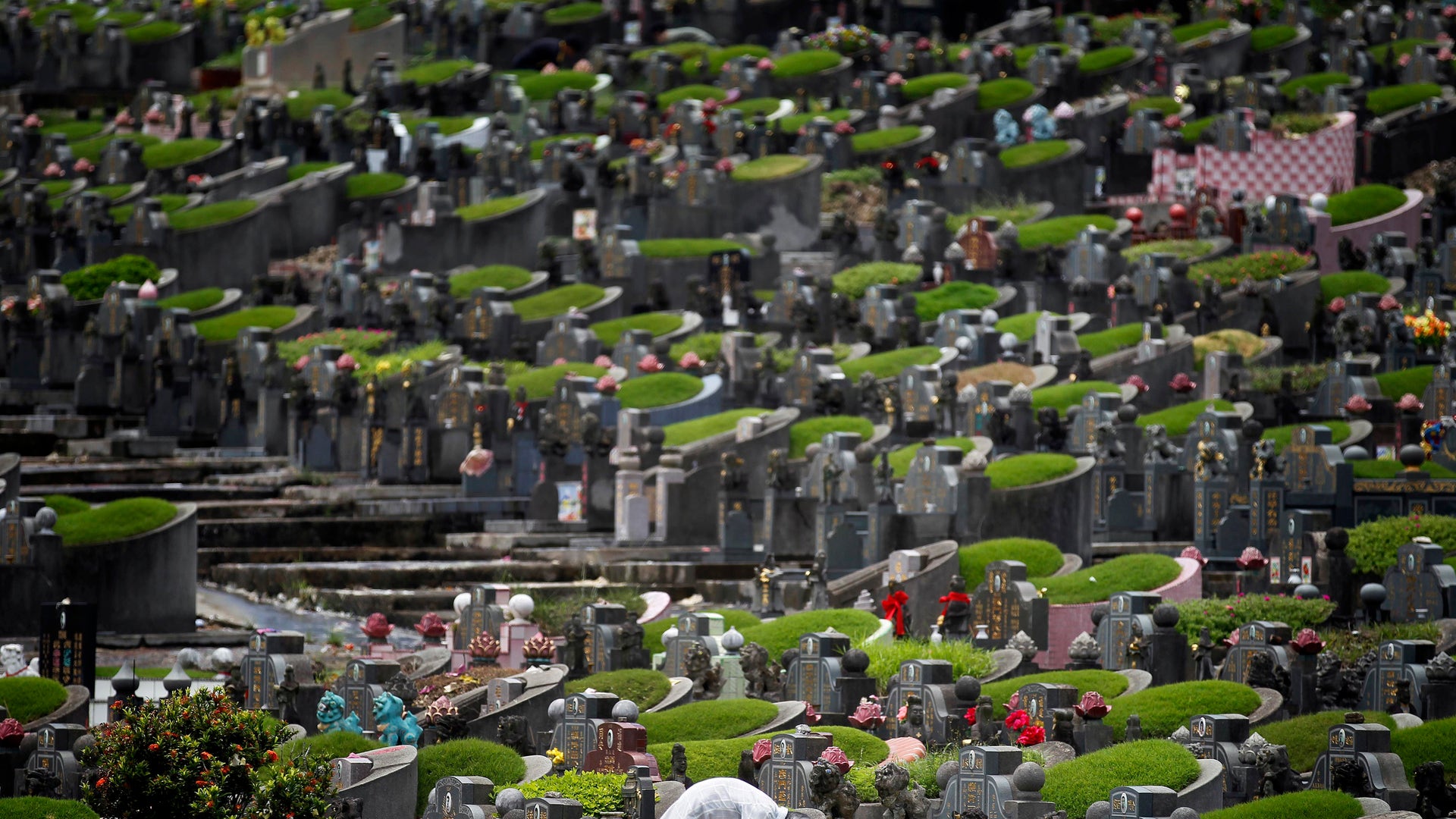 Cities get creative as cemeteries become overcrowded | Fox News