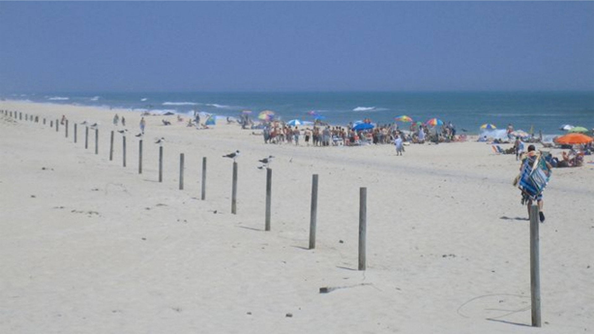 beaches_AssateagueBeach