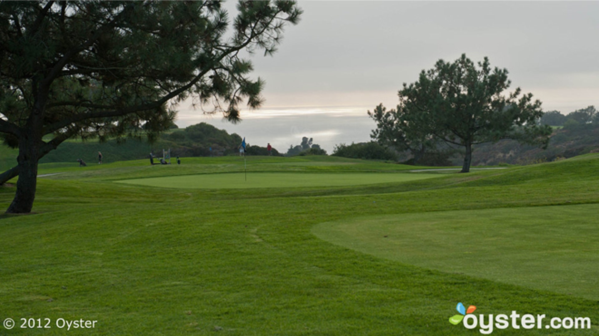 beachgolf_torreypines