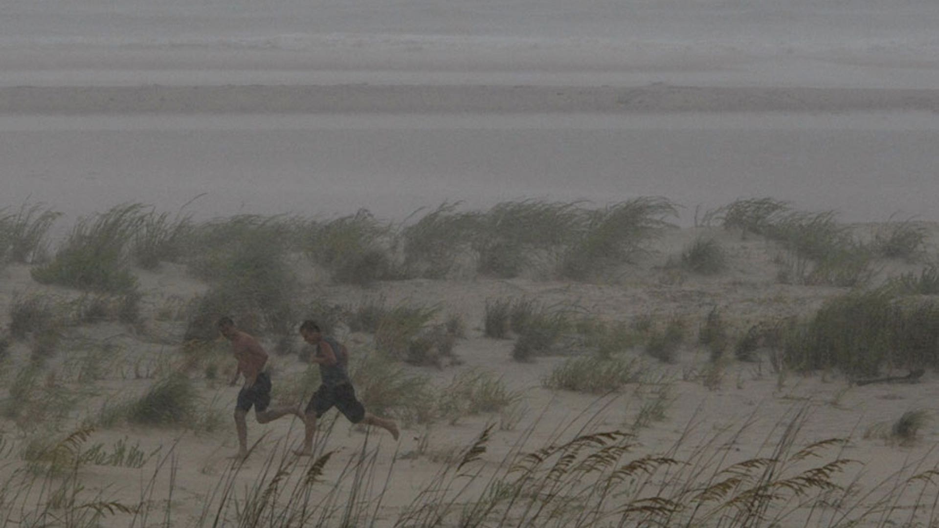 beachrunlee