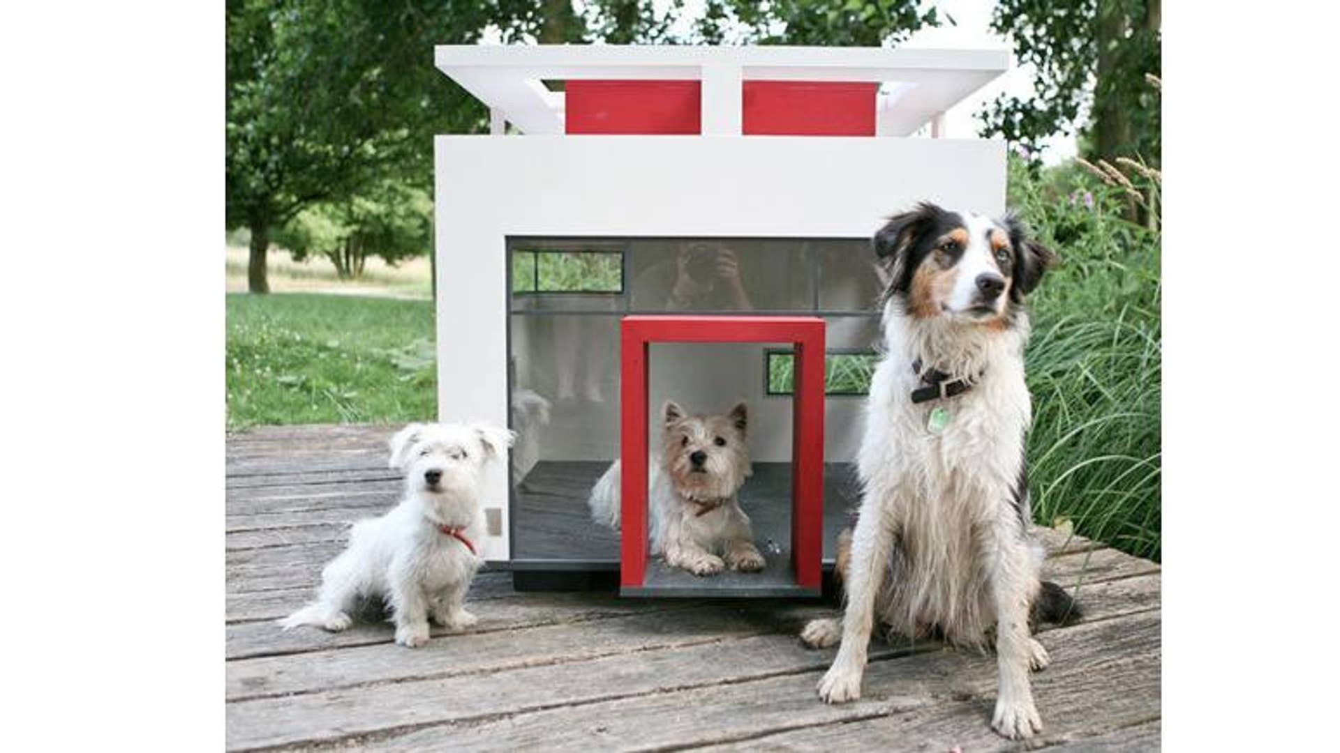 Pet дом. Собачья будка. Красивые будки для собак. Собака с конурой. Дом будка для собаки.