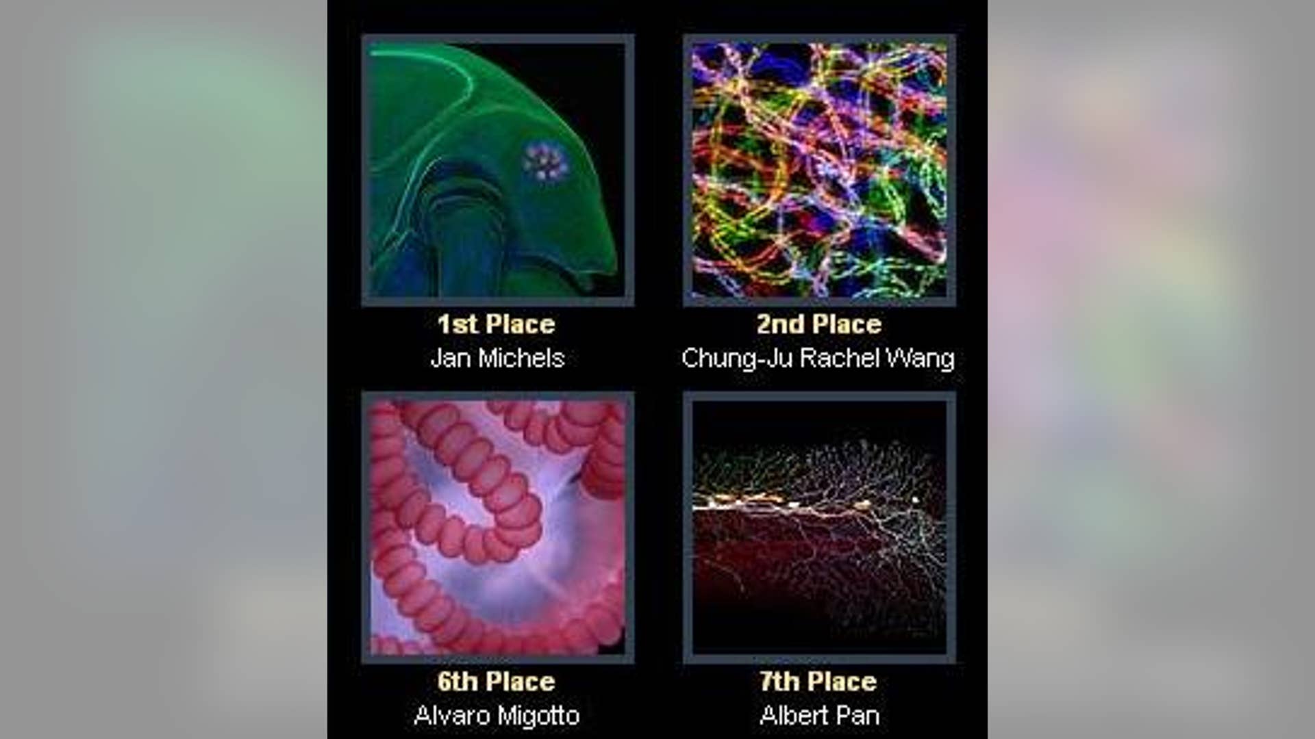 The 2009 BioScapes Contest