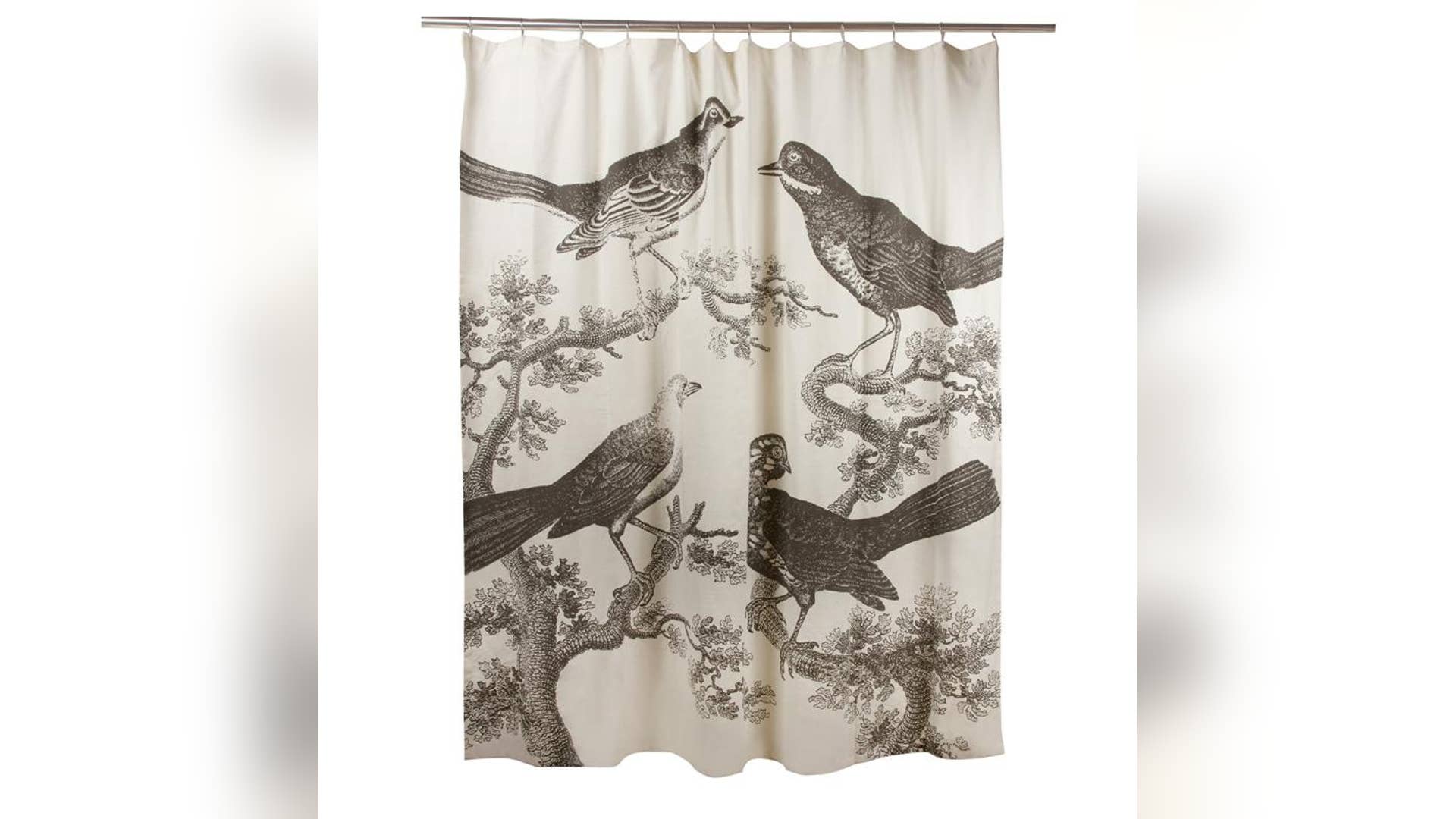 Slate Ornithology Bird Shower Curtain