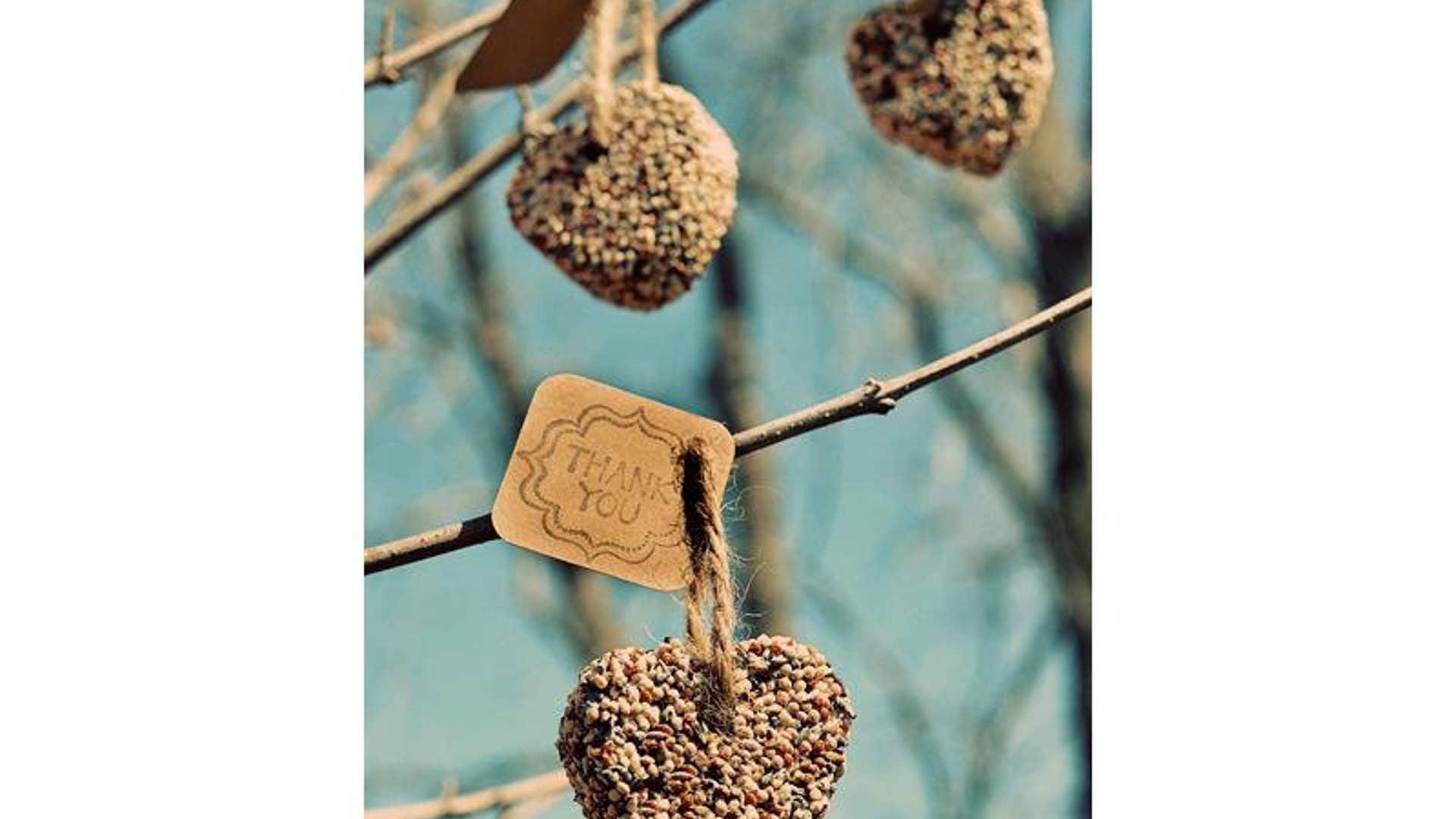 Birdseed Wedding Favor Hearts