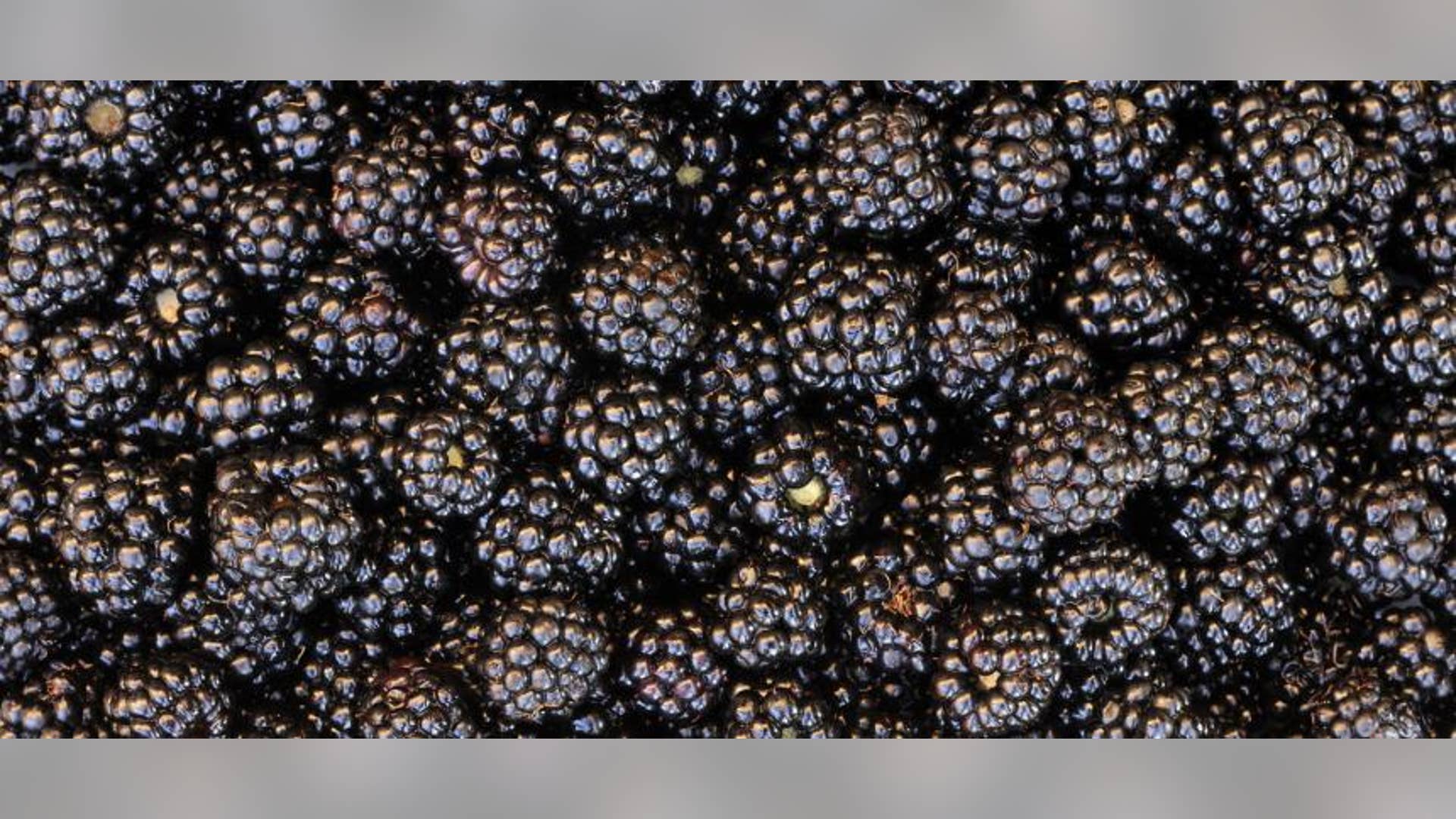 The 6 Healthiest Berries for Women’s Hearts Fox News