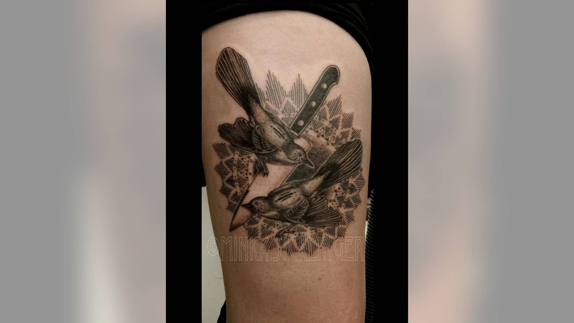 Knife and Birds