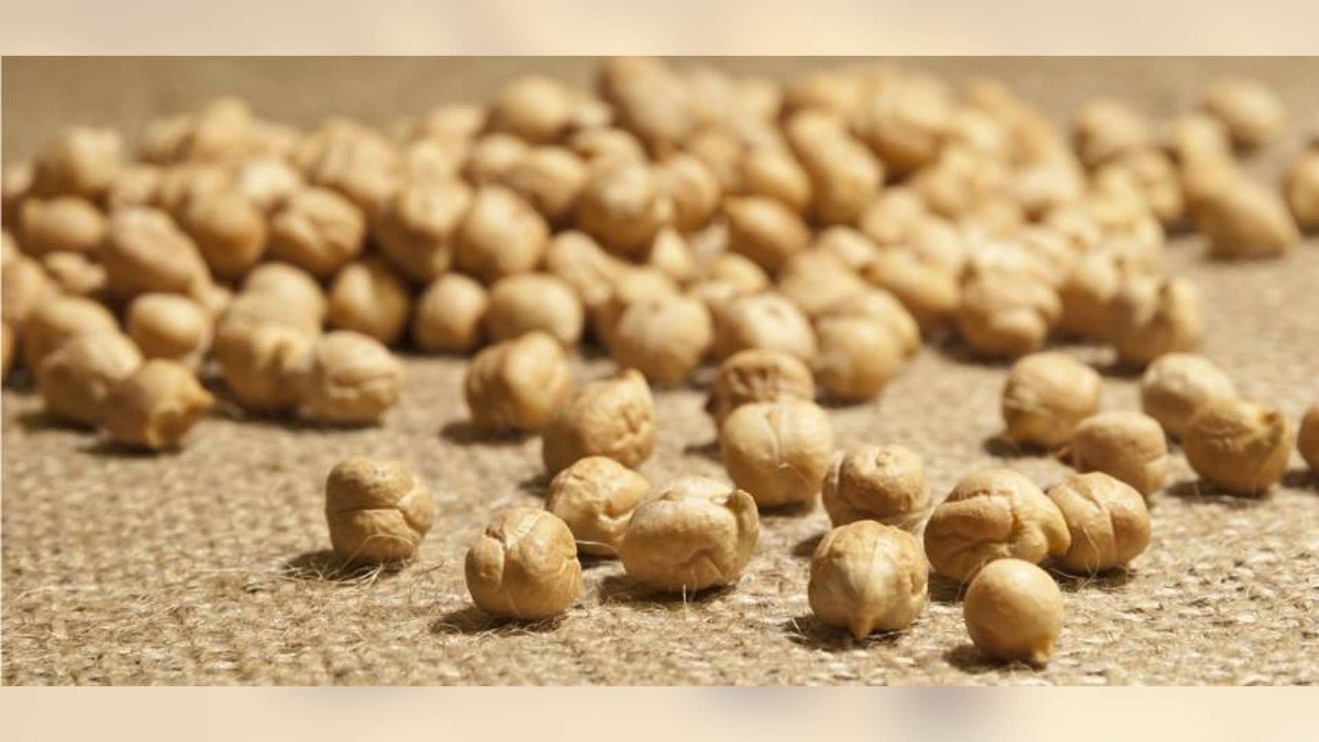 Dried Chickpeas
