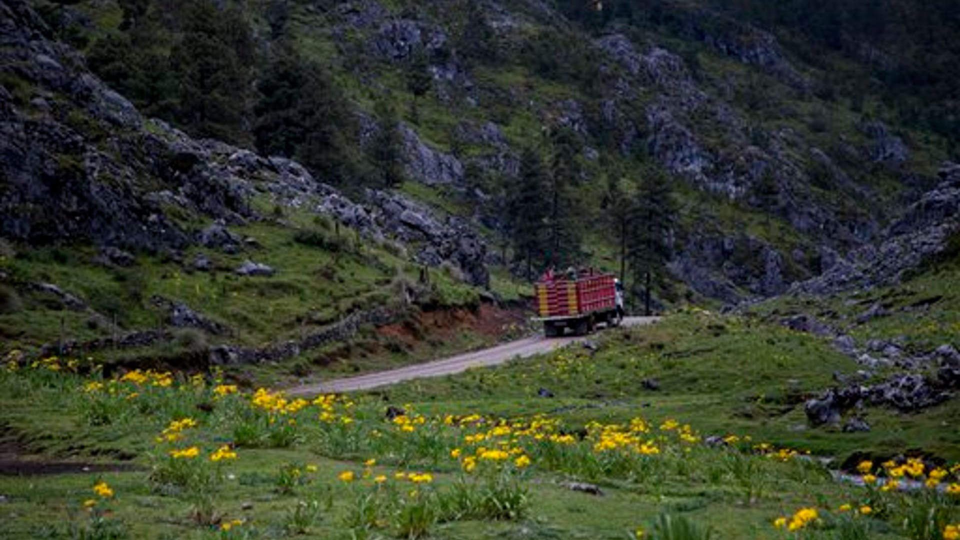 c1ff0881c5cfb419580f6a7067008602