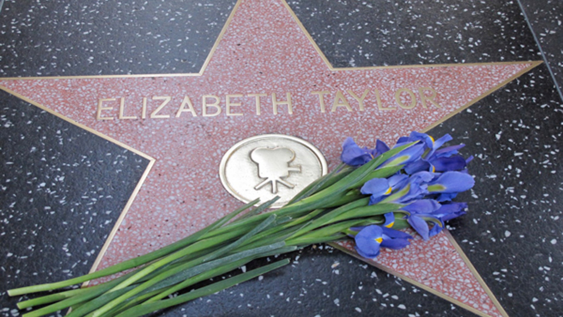 Liz Taylor Star