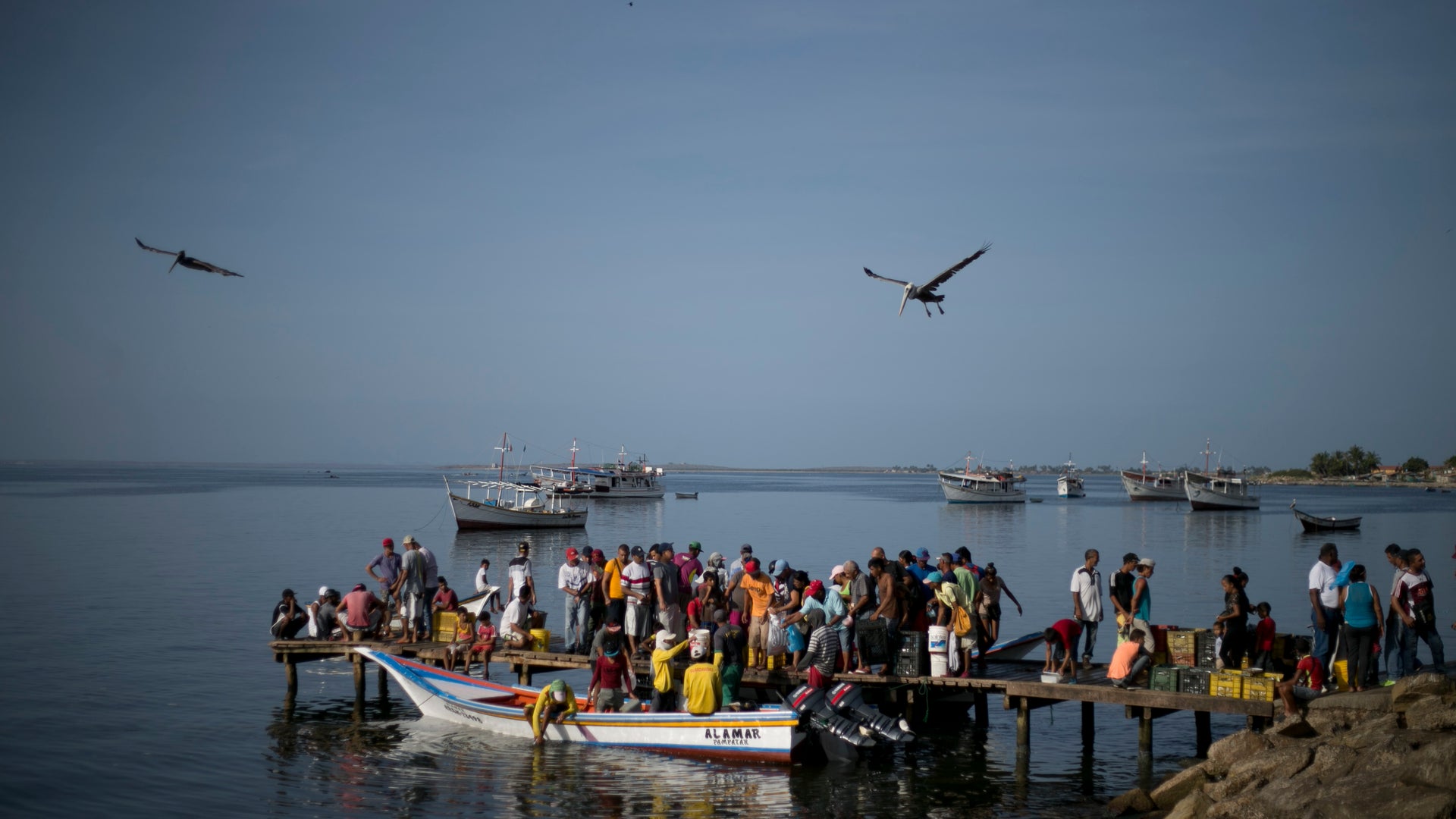 Venezuela_Caribbean_C_Vros__6_