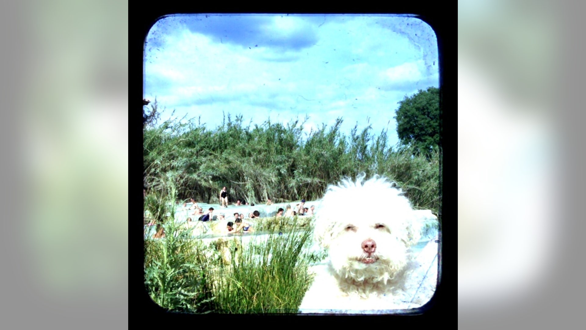 Ban_os_de_Saturna___Italia