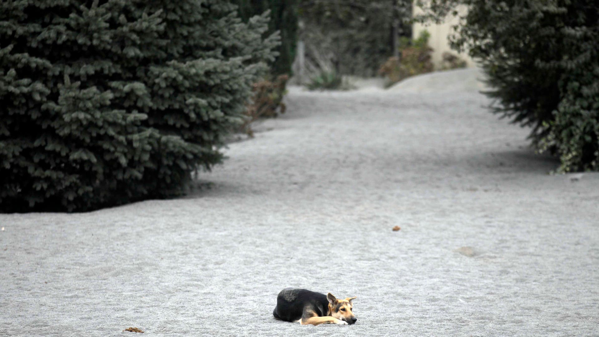 Chile_volcano_clean_up__8_