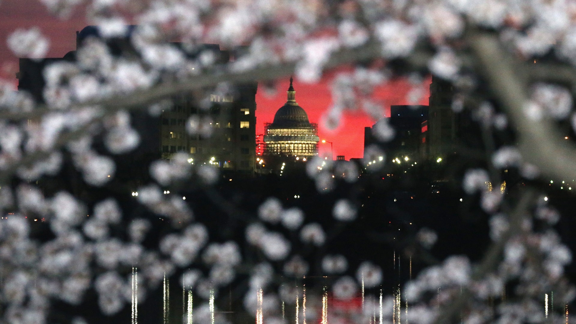 GettyImages_517204474