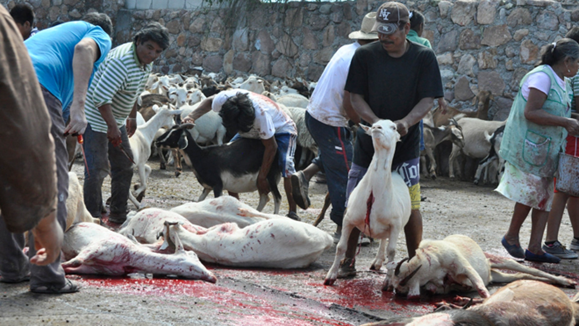Goat_slaughter_Latino_1