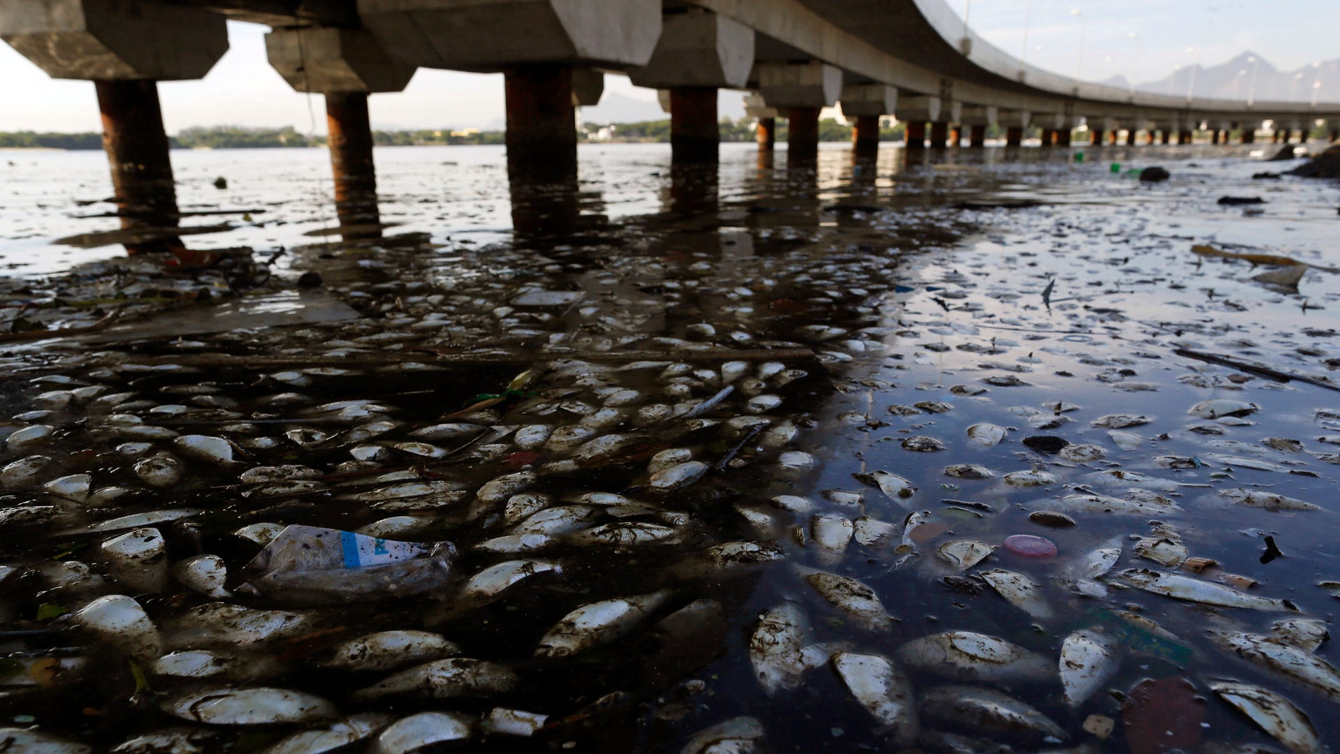 Проблема загрязнения природных ресурсов. Залив Гуанабара. Загрязнение воды. Сточные воды. Загрязнение природных вод.