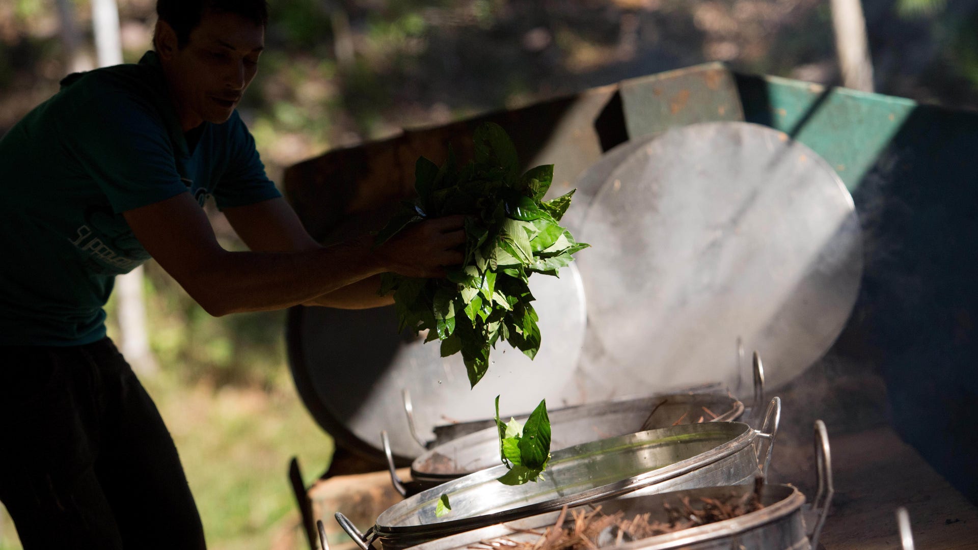 Brazil_Ayahuasca_Phot_Vros__12_
