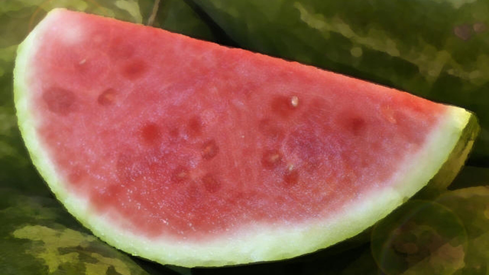 Watermelon_web