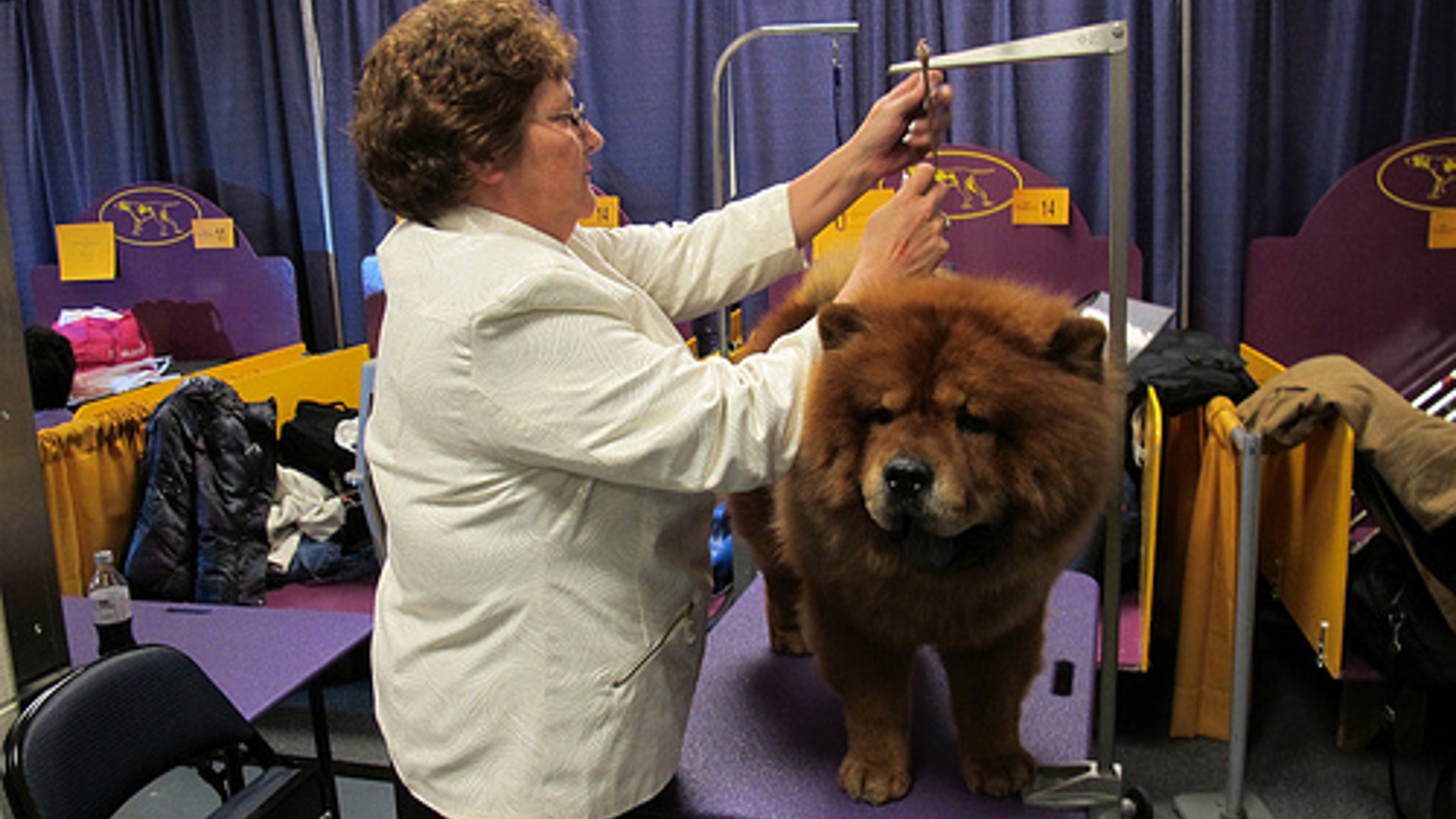 8466252313_3e19aa6464