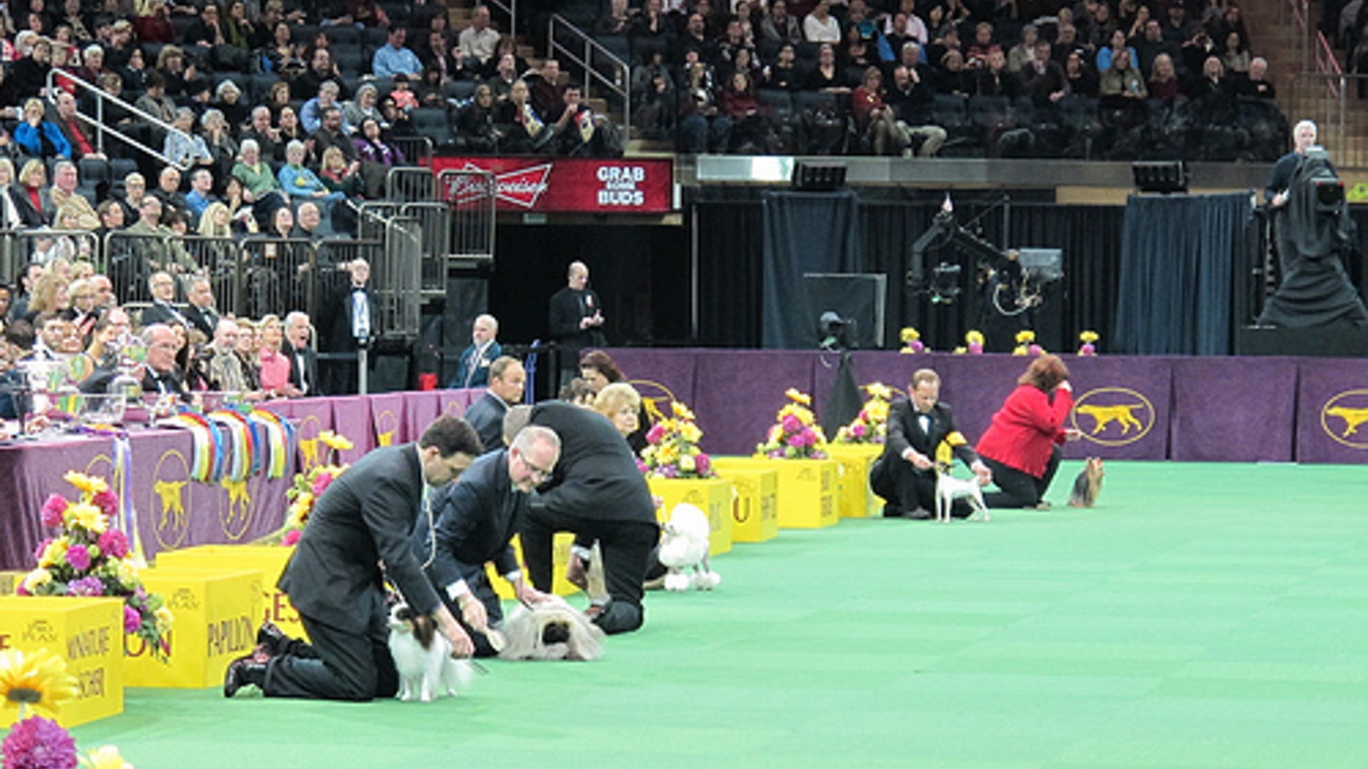 8467355522_c86cd1256c