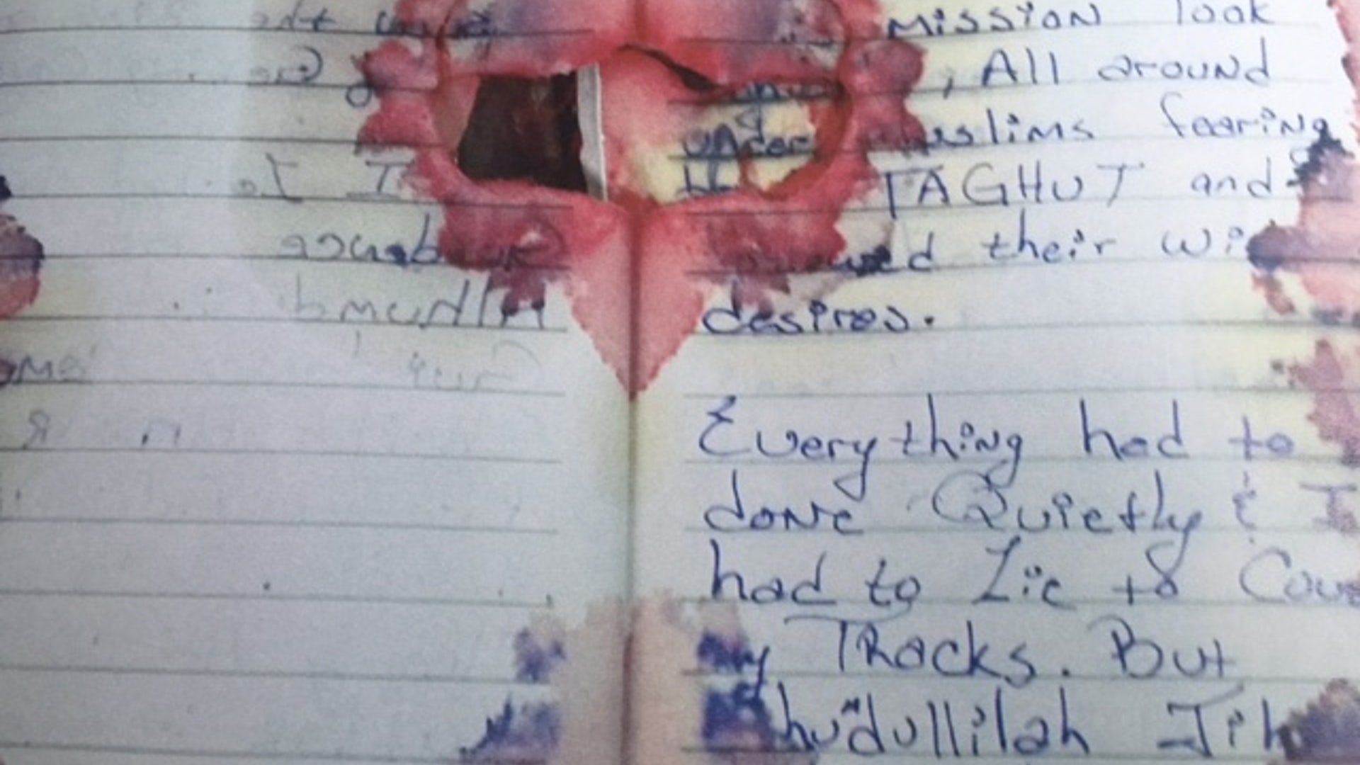 'I had to Lie to Cover my Tracks'