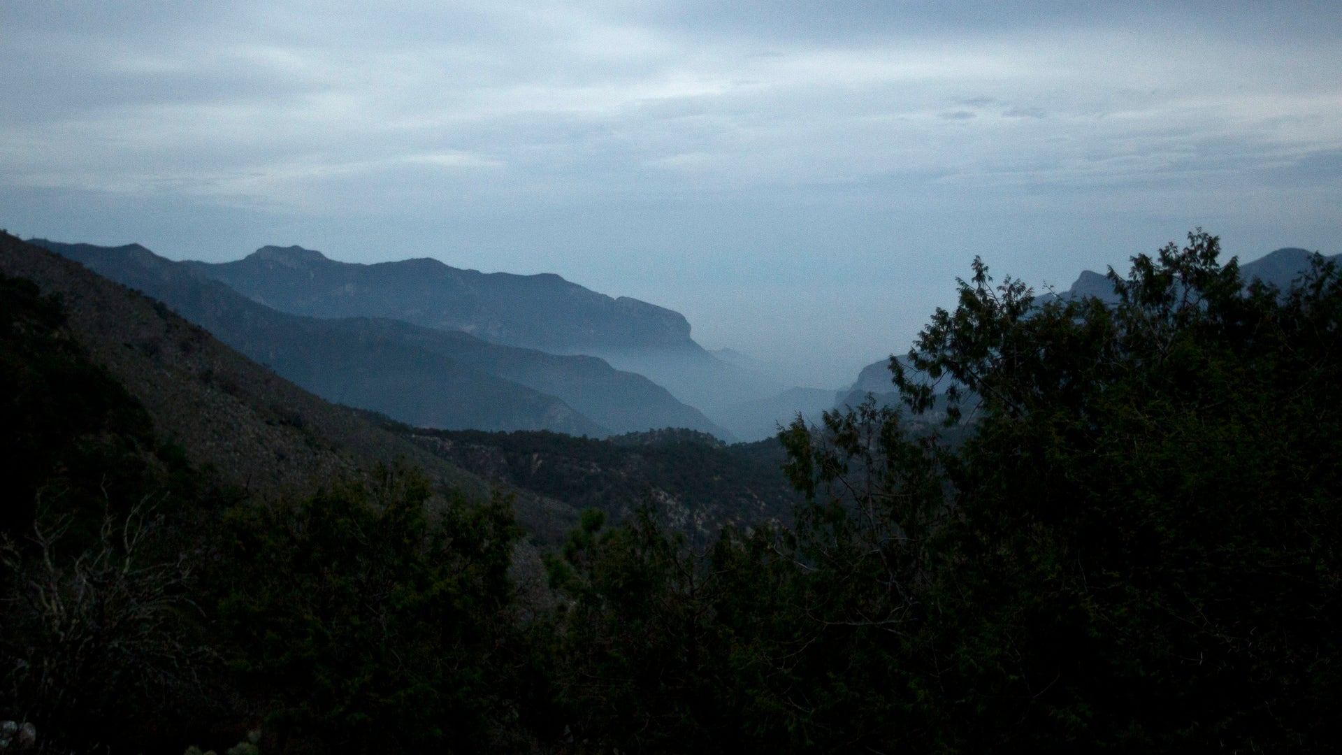 Mexico_Singers_Plane__Carr_2_