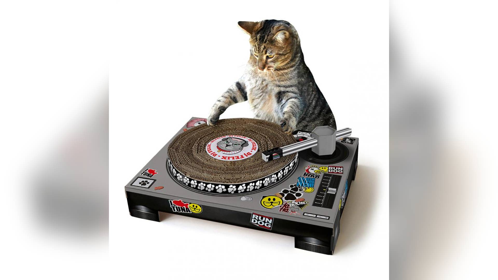 DJ Cat Scratching Pad