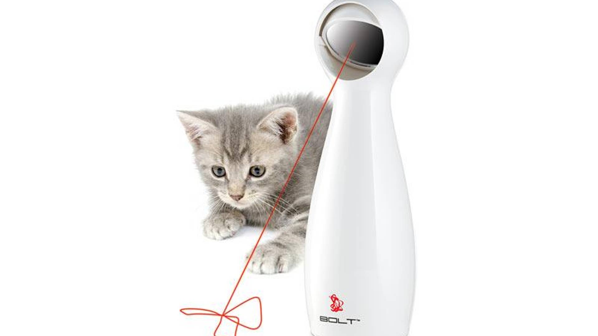 Bolt Interactive Laser Toy