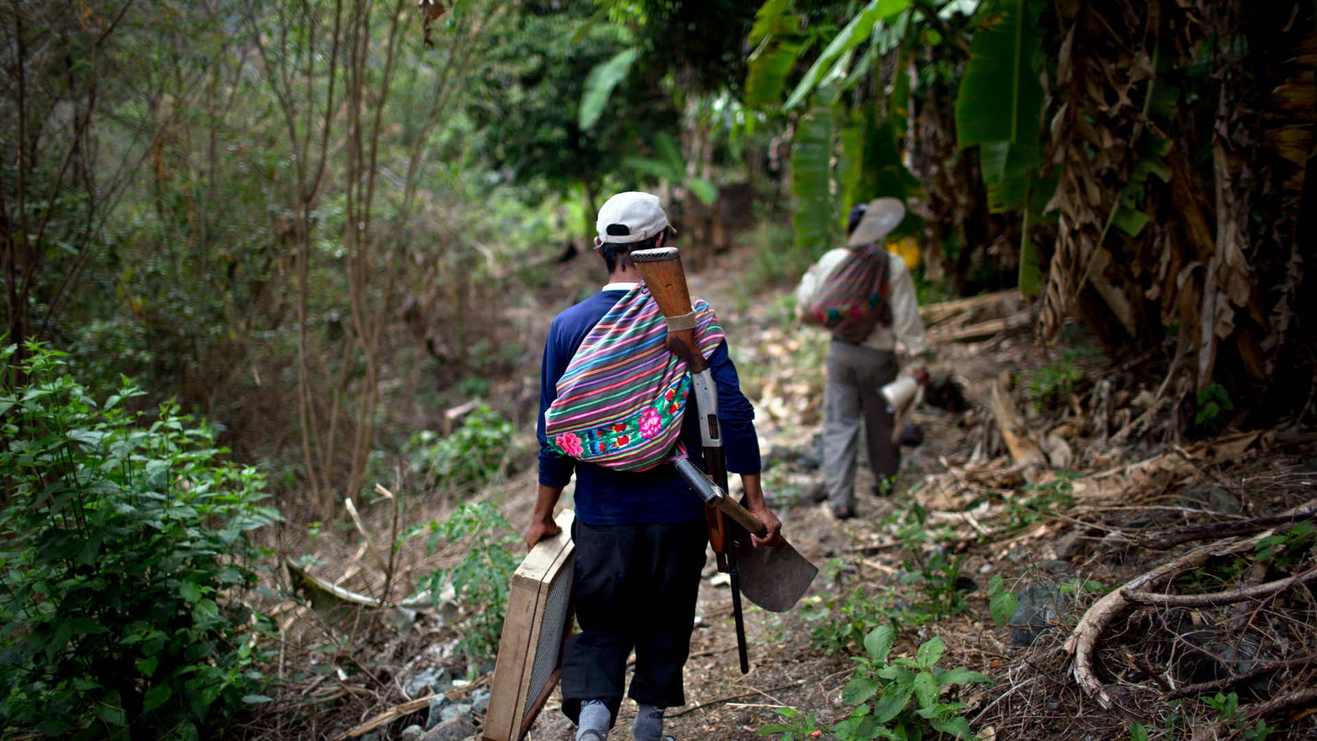 Peru_Graves_Unearthed__3_