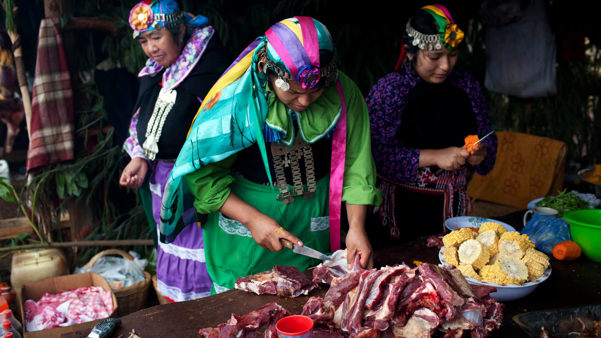 Chile_Mapuche_Conflict__6_